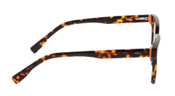 ACETATE |FD1121 |Full Rim |Acetate |TIGER PRINT-Acetate |53-17-145