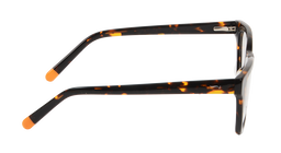 ACETATE |FD3308 |Full Rim |Acetate |TIGER PRINT-Acetate |51-21-145