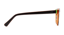 ACETATE |FD8803 |Full Rim |Acetate |COPPER-Acetate |49-21-145