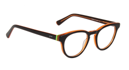 ACETATE |FD8803 |Full Rim |Acetate |COPPER-Acetate |49-21-145
