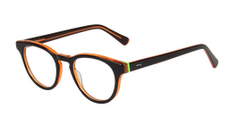 ACETATE |FD8803 |Full Rim |Acetate |COPPER-Acetate |49-21-145