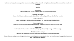 Castor Oil - Cold pressed & Hexane Free 200mL