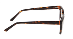 ACETATE |FD8807 |Full Rim |Acetate |ORANGE-Acetate |50-21-145