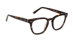 ACETATE |FD8807 |Full Rim |Acetate |ORANGE-Acetate |50-21-145
