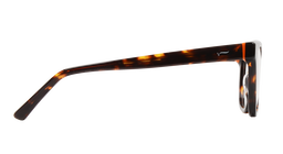 ACETATE |FD8807 |Full Rim |Acetate |ORANGE-Acetate |50-21-145