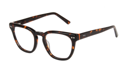 ACETATE |FD8807 |Full Rim |Acetate |ORANGE-Acetate |50-21-145