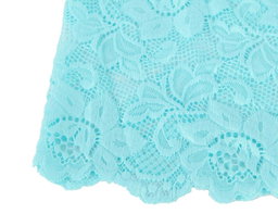 Blue Floral Lace Panty