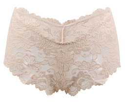 Nude Floral Lace Panty 