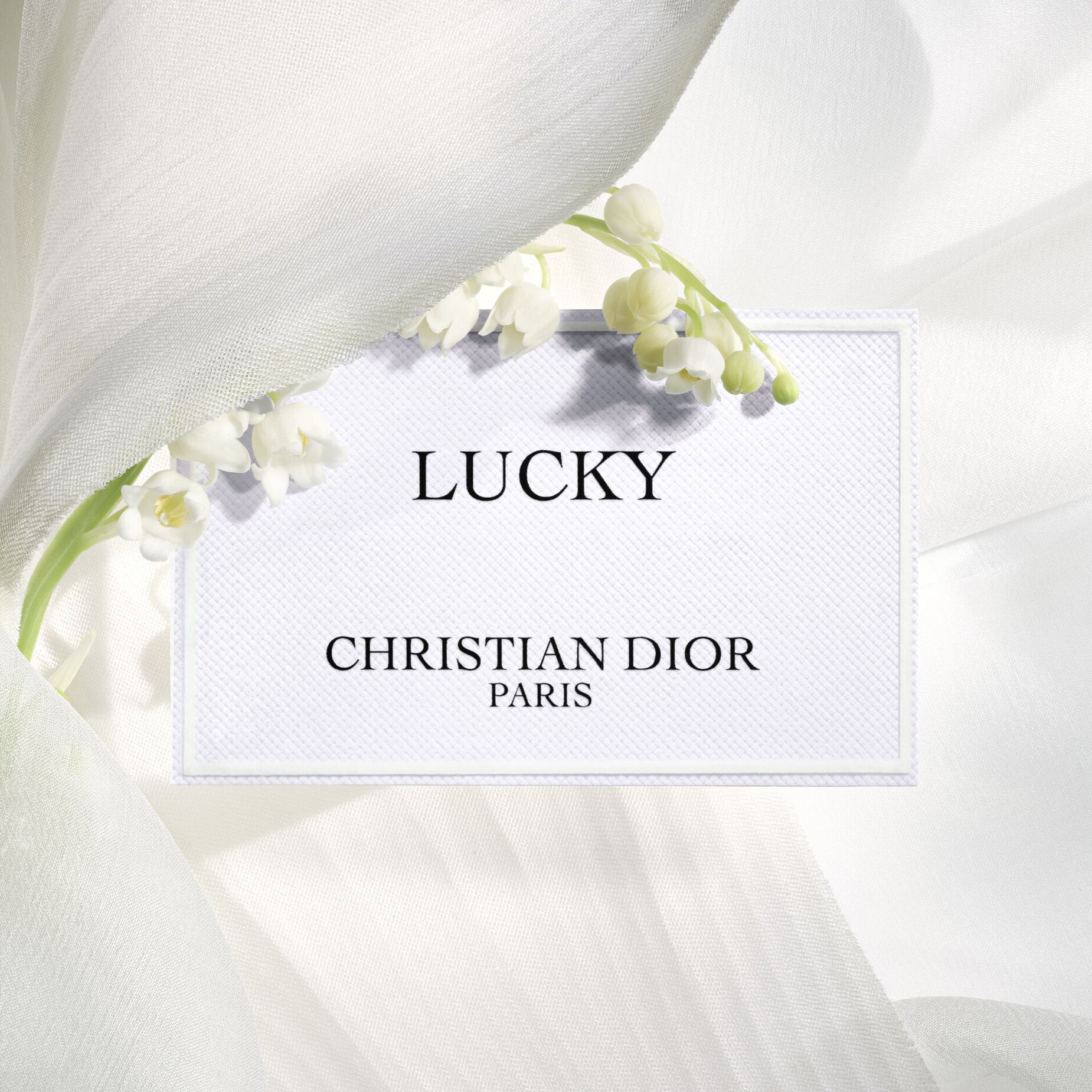 Perfume Dior - lucky _3