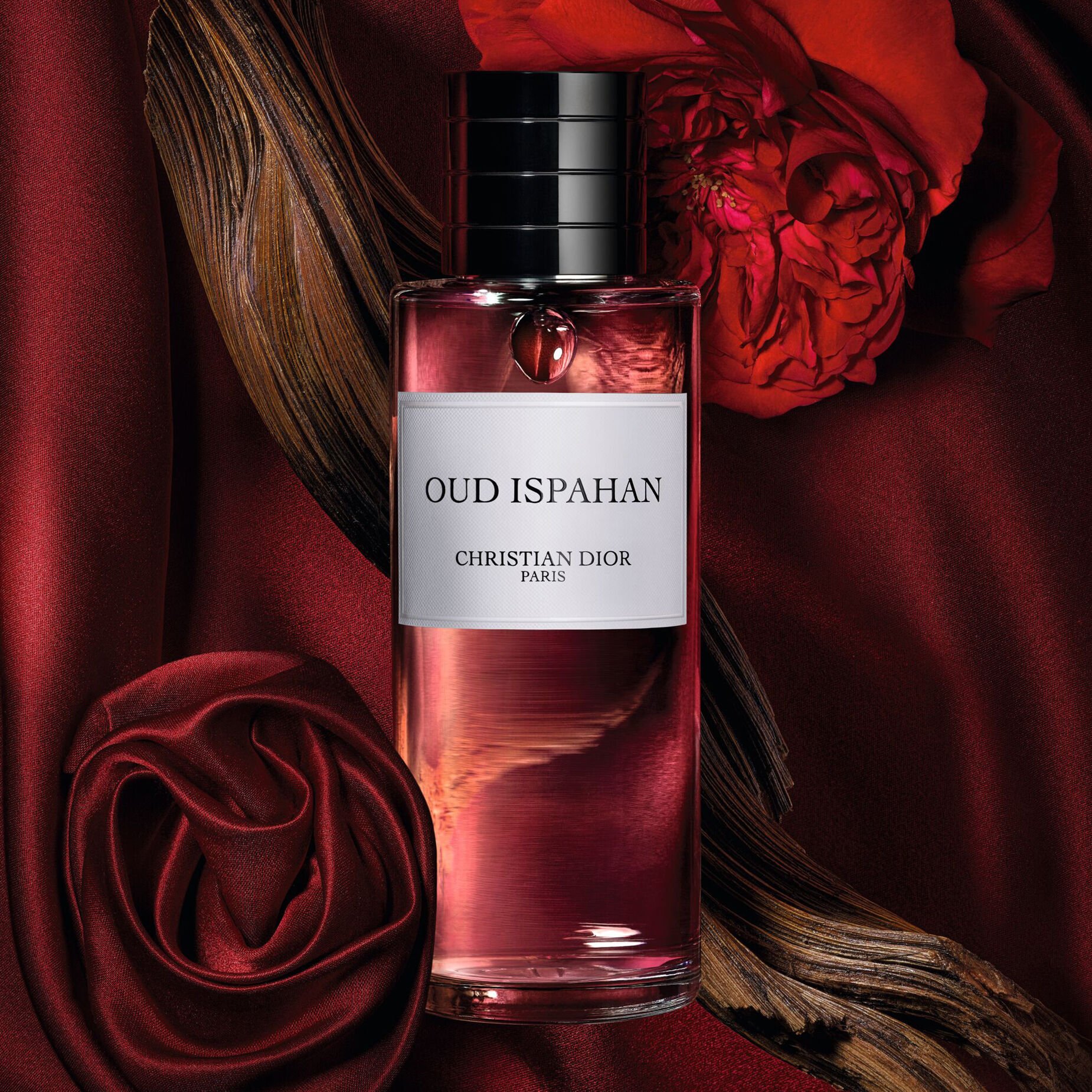 Perfume Dior - oud ispahan _2