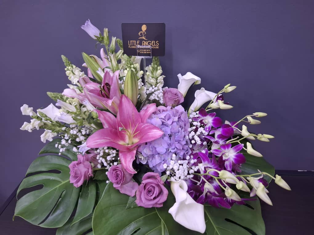Bloom Box_0