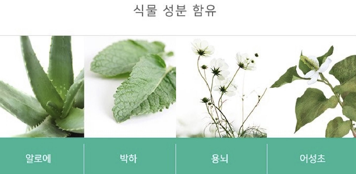 <허브데이> 생리대 중형(Regular Sanitary pad with wings) 10매입_1