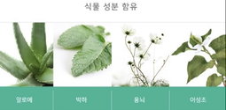 <허브데이> 생리대 중형(Regular Sanitary pad with wings) 10매입