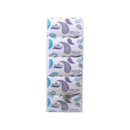 INTAJ SOFT TISSUE 170 PACK OF 10PCS