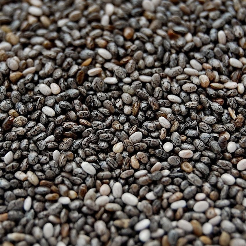 Grain de chia _2