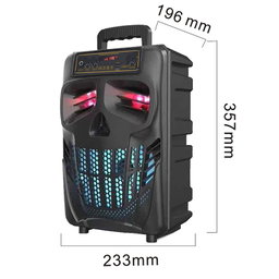 QS-7801 8" KARAOKE BLUETOOTH SPEAKER