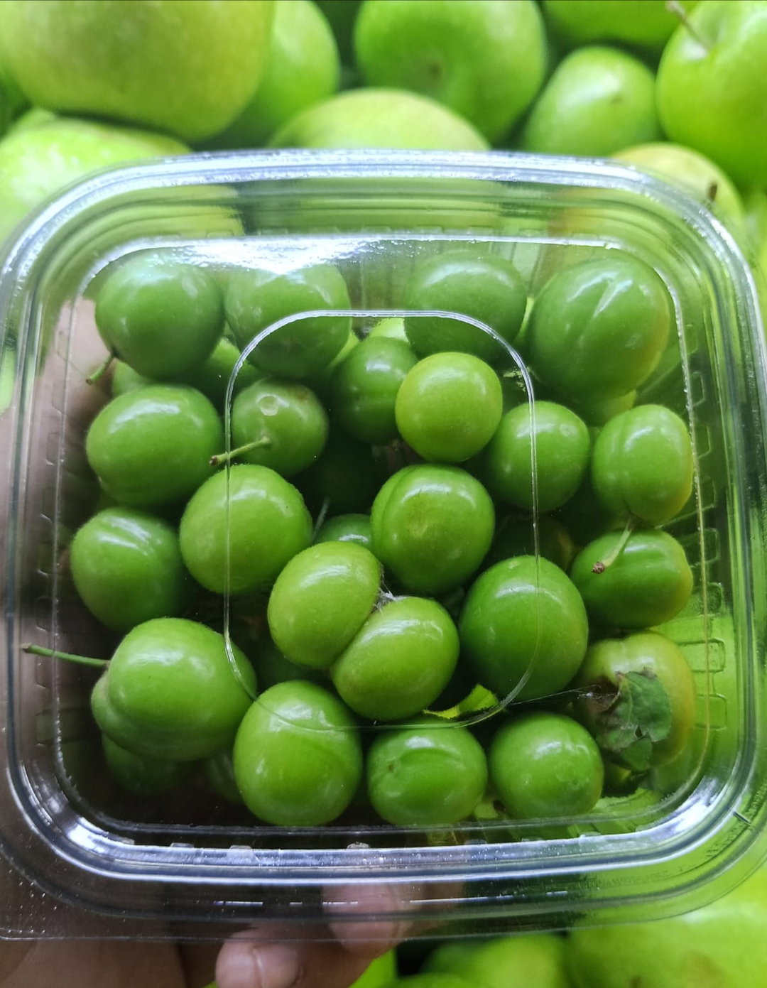 كوجه عراقي 