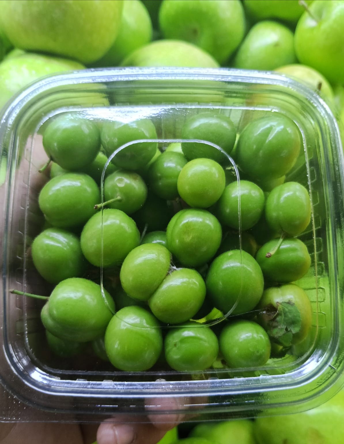 كوجه عراقي