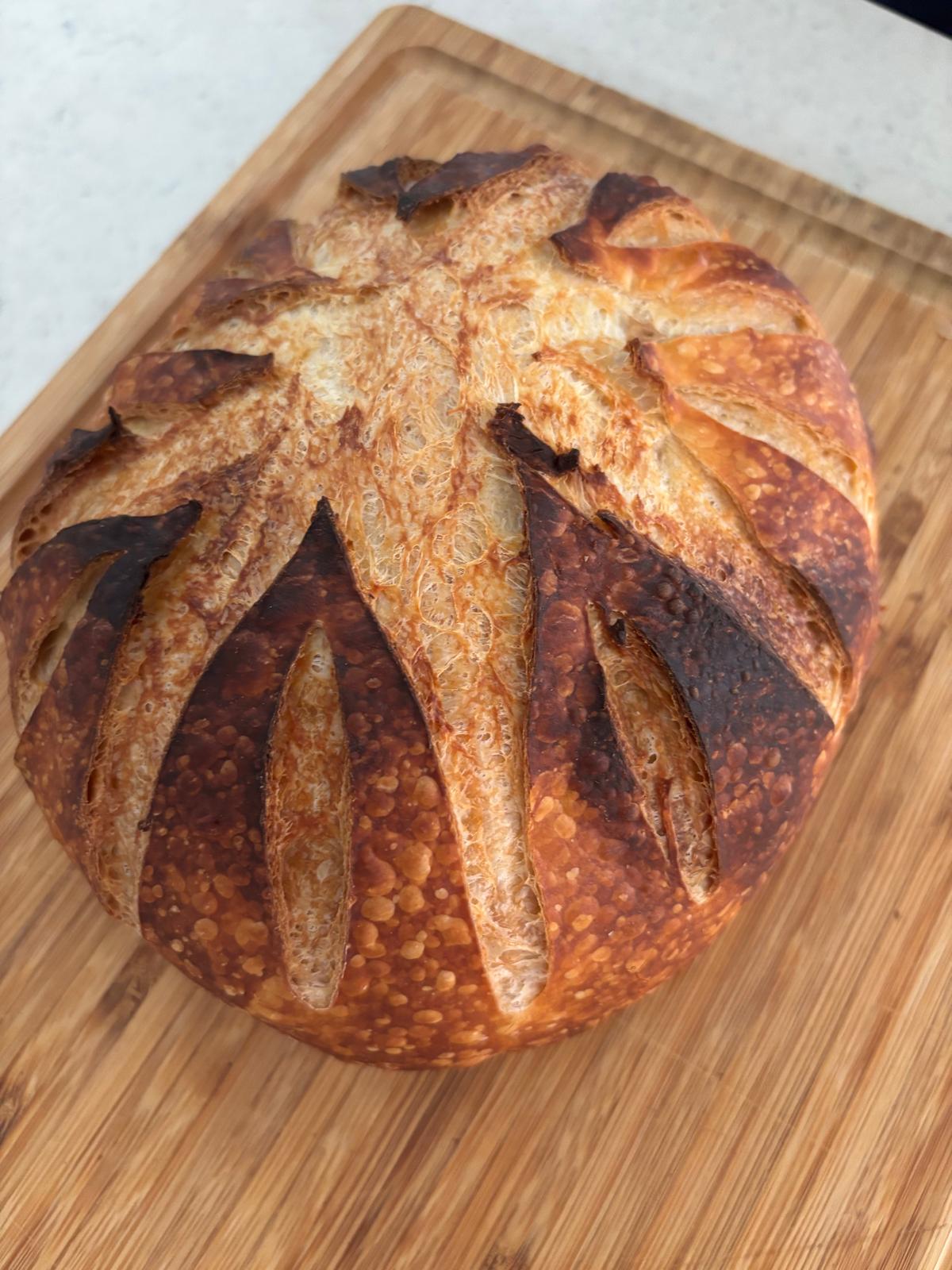 Sourdough Loaf_0