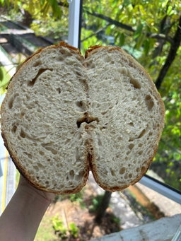 Premium Sourdough Loaf