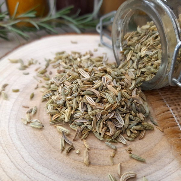 Grain de fenouil _1