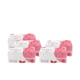 Vera Mini Tissues 185g (Pack Of 5)