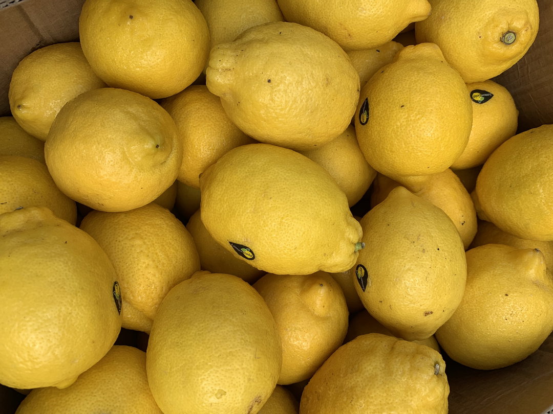 Imported Lemon x 1