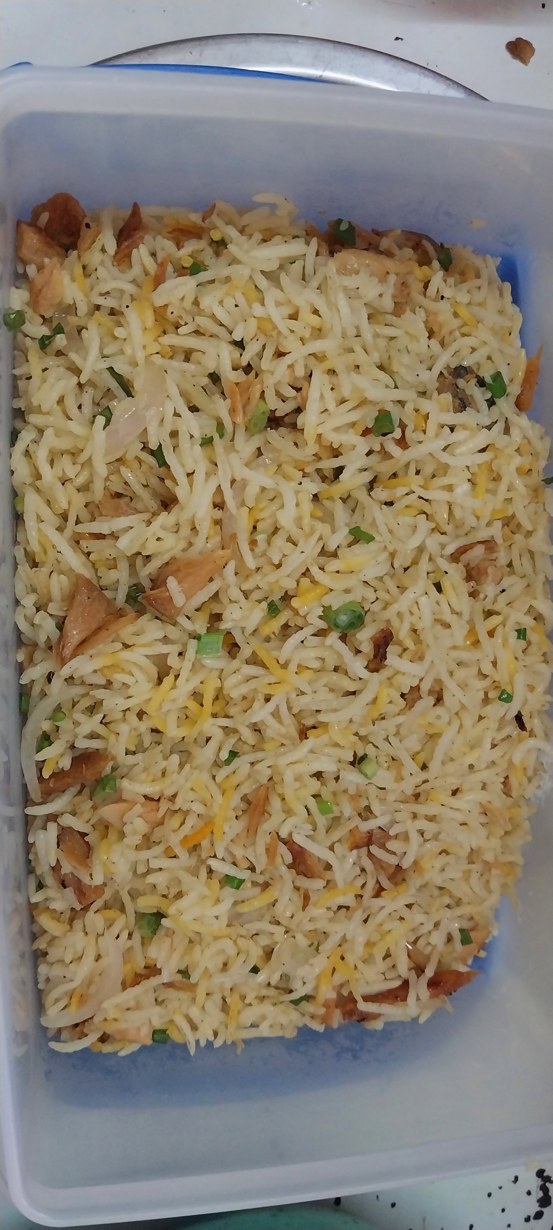 Riz frite poisson salè_0