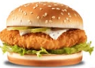 Chicknova Burgers Patties