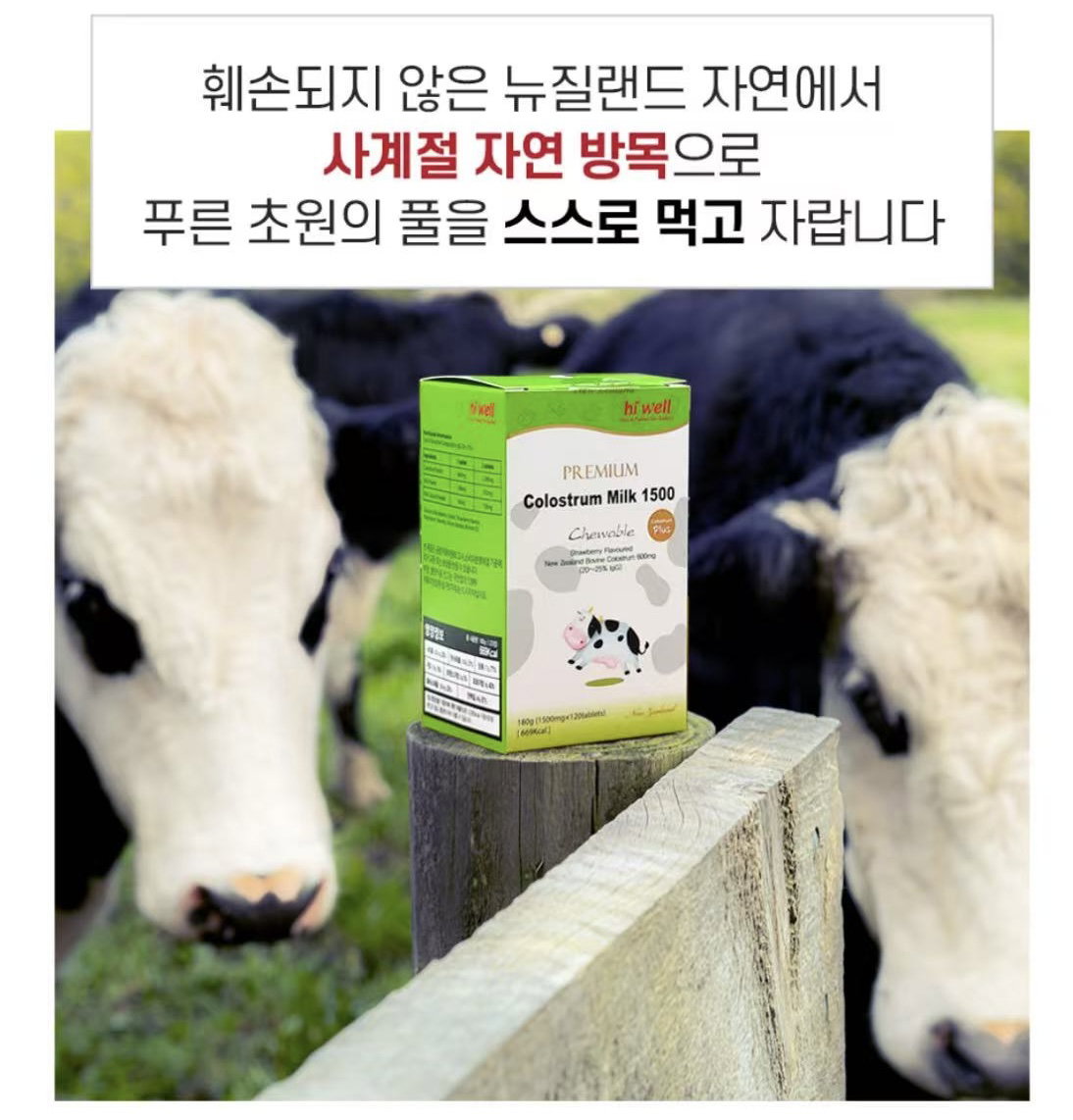 [면역/성장] 하이웰 초유 츄어블 120정(2개월분) | [Immune & Growth Support] HiWell Colostrum Chewable (Strawberry Flavor) 120tabs_7
