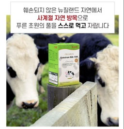 [면역/성장] 하이웰 초유 츄어블 120정(2개월분) | [Immune & Growth Support] HiWell Colostrum Chewable (Strawberry Flavor) 120tabs