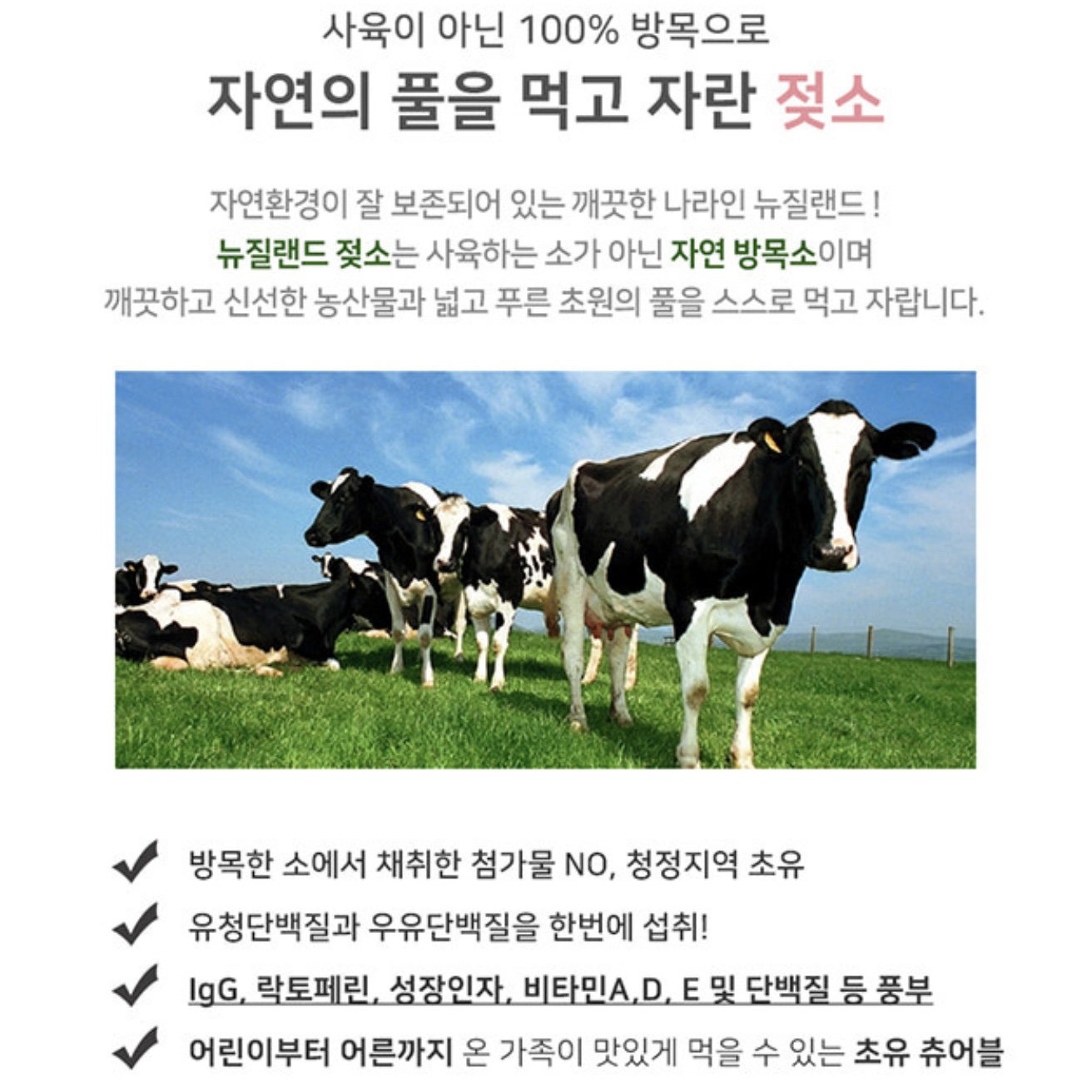 [청소년 성장]  *피터앤존* 콜로스트럼 MBP(초유단백질) 120정(3-4개월분) | [Teen Growth] *Peter&John* Colostrum Protein(120tabs)_3