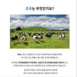 [청소년 성장]  *피터앤존* 콜로스트럼 MBP(초유단백질) 120정(3-4개월분) | [Teen Growth] *Peter&John* Colostrum Protein(120tabs)