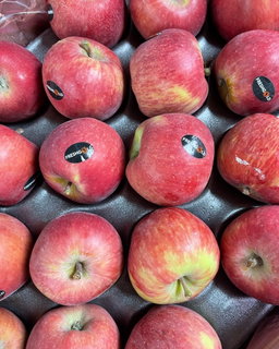 Red Apple x 3