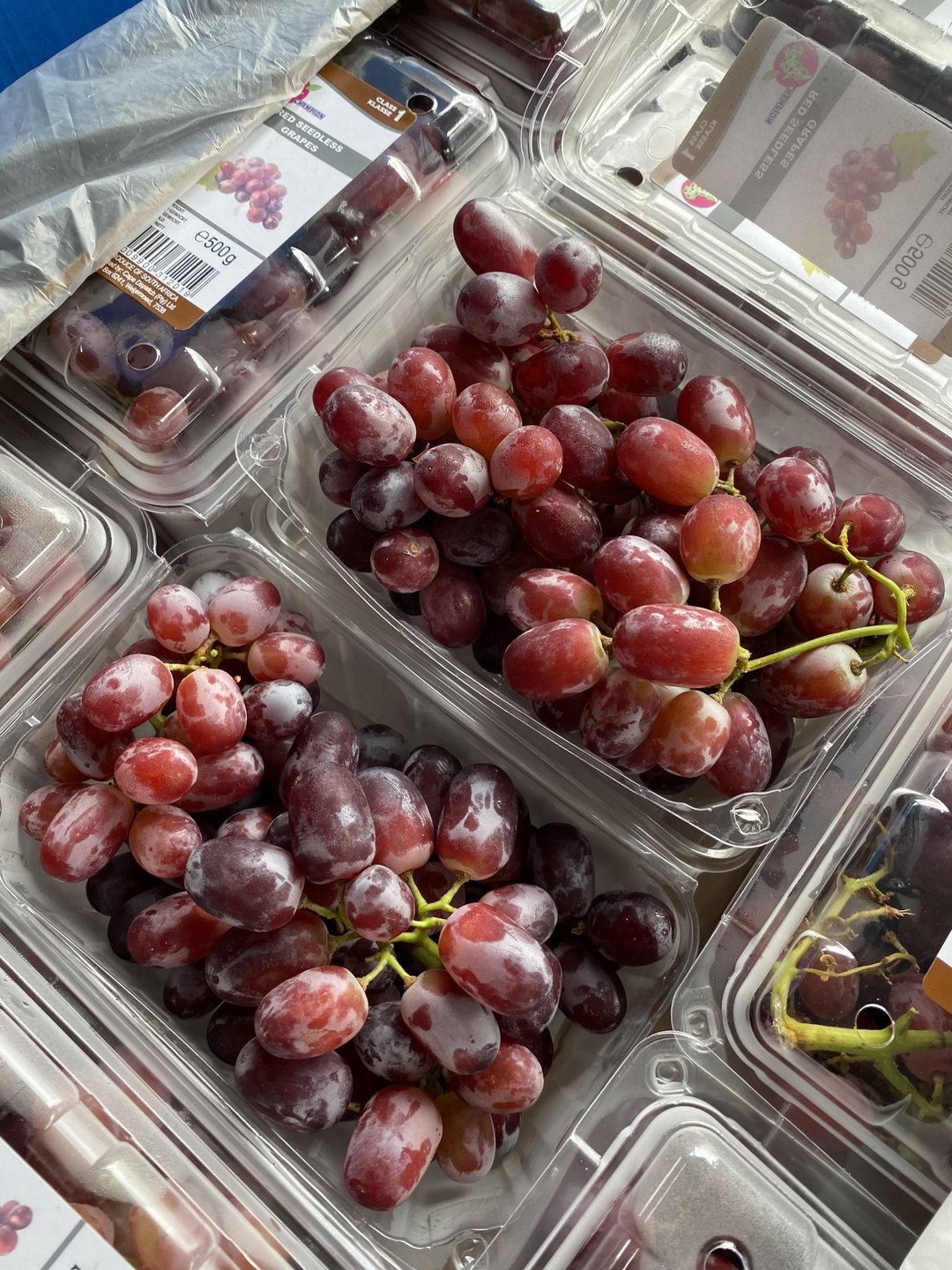 Red Seedless Grape X 1pack