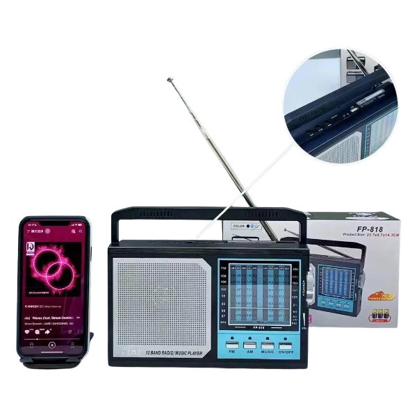 FEPE RADIO FP-818_0