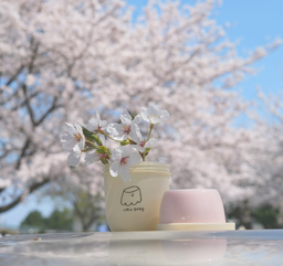 🍮우무 푸딩 비누