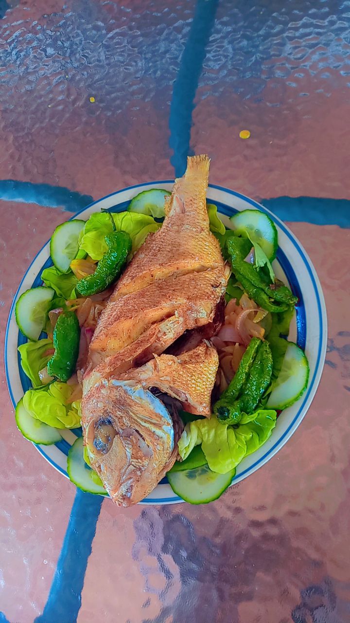 Poisson capitian entier _3
