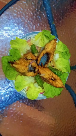 Poisson capitian entier 