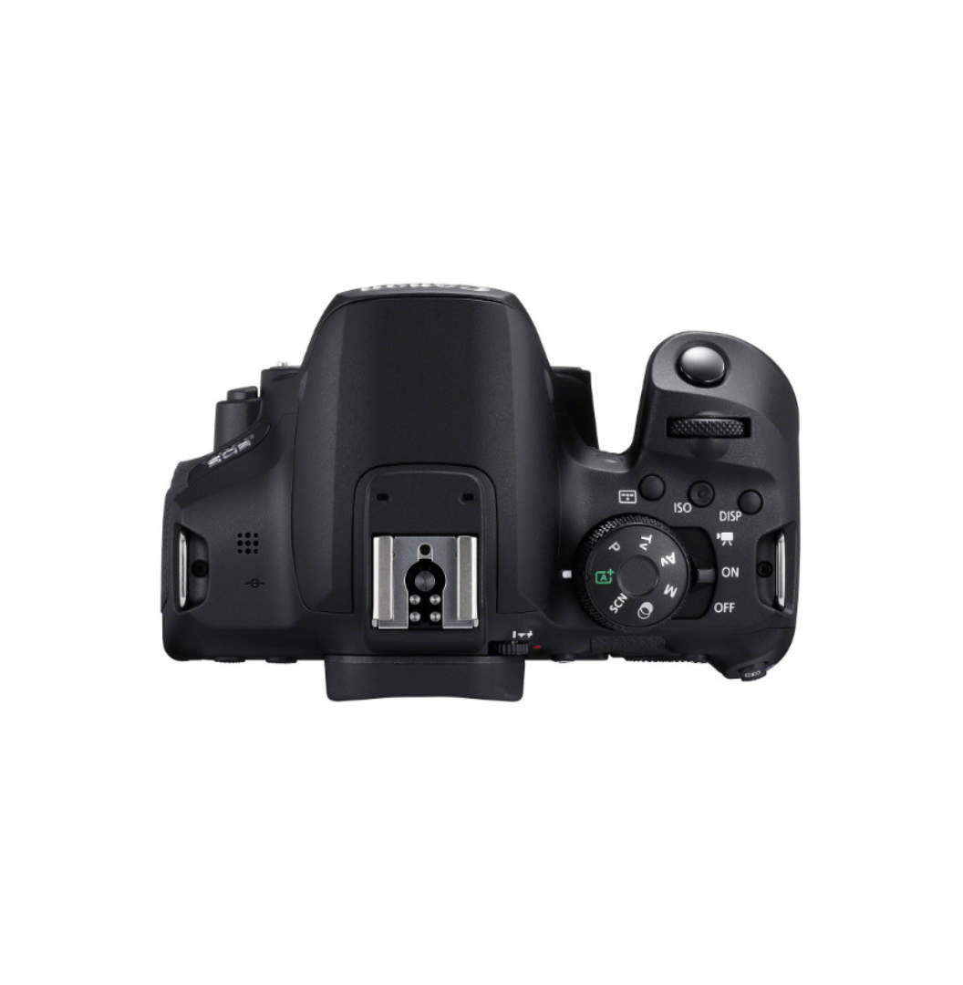 Canon EOS 850D + 18-135mm IS USM_5