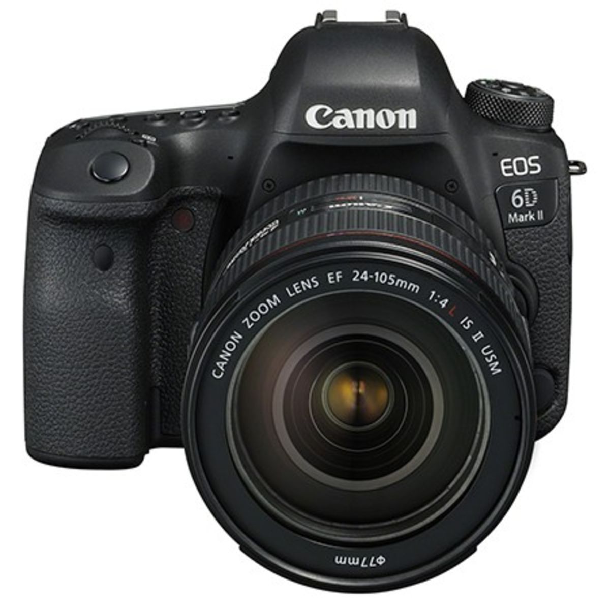 Canon EOS 6D Mark II_6