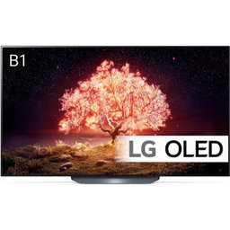 LG 65 Pouces OLED65B1