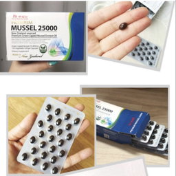 [초록잎 홍합] 하이웰 초록홍합 오일 25000(100정 /100일분) | [Green-lipped Mussel] *HiWell* Green Lipped Mussel Oil (100caps)