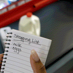 Manual Checklist Order