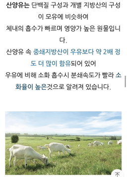 [가족 면역/뼈건강] *피터앤존* 바이오스트럼 (초유단백질) 100정(3-4개월분) | [Immune&Bone Health] *Peter& John*  Colostrum Protein (100tabs)