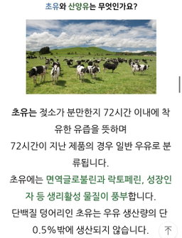 [가족 면역/뼈건강] *피터앤존* 바이오스트럼 (초유단백질) 100정(3-4개월분) | [Immune&Bone Health] *Peter& John*  Colostrum Protein (100tabs)