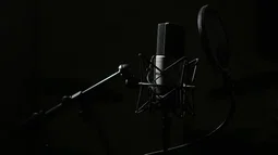 Microphone
