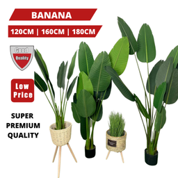 PREMIUM TREE BANANA
