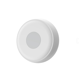 ZE1-EU Wireless Switch