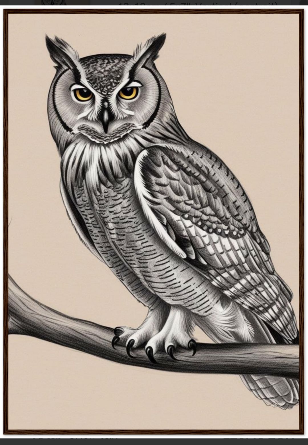 1072 beautiful owl picture in a dark wood frame